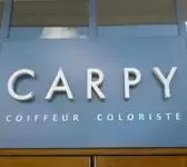 Carpy Coiffeur Tours