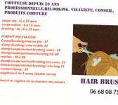 Hair Brus'h Isabelle Le-Plessis-Robinson