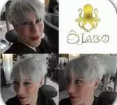 O Labo Toulouse
