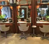 Coiffure Cordyline Strasbourg