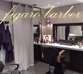 Figaro Barber Fontaines-sur-Saône
