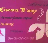 Les ciseaux d'ange Calonne-Ricouart