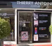 Thierry Antoine Nice