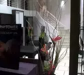 Yume Nantes