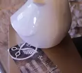 Bird & Co Coiffure Dole