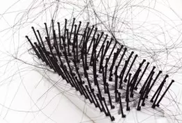 Cycle de vie des cheveux
