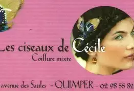 Les ciseaux de Cécile Quimper