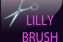 Lilly brush Cran-Gevrier