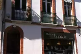 Louis XX Toulouse