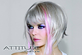Attitude Coiffure Boisseuil