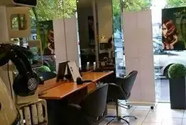 Projection coiffure Périgueux