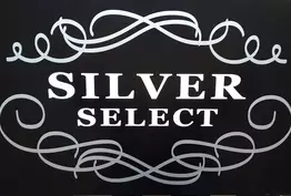 Silver select Vernaison