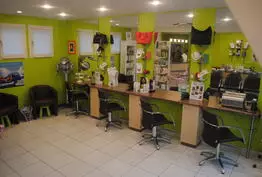 C.V.F Coiffure Fontaine-la-Guyon