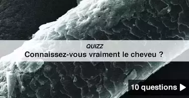 QUIZZ - Connaissez-vous vraiment le cheveu ?