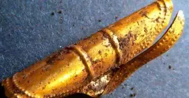 Un jeune écolier anglais trouve un bijou pour cheveux vieux de 4300 ans