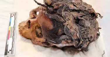 Des extensions retrouvées sur la tête d'une femme de l'Egypte antique