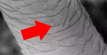 Une nouvelle molécule découverte dans la composition de nos cheveux, qui va changer à jamais nos shampooings !