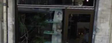 Julie Coiffure Paris 11