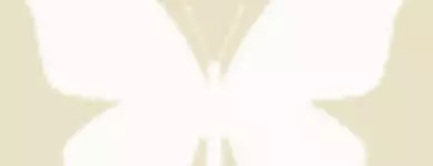 Les salons MJ Paris 13