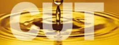 Cut coiffure Paris 08